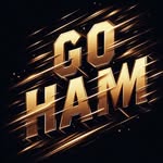 goham.repost.vl2 profile picture