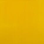 goktugsarioz profile picture