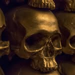 goldbarnewyork profile picture