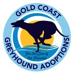 goldcoastgreyhoundadoptions profile picture