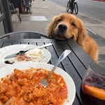 goldendaysofollie profile picture