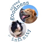 goldengoodnessinfinity profile picture