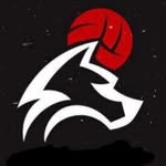 golesendir profile picture