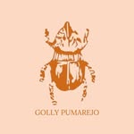 gollypumarejo_design profile picture