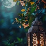 golu.288533 profile picture