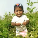 golu_king_33_2k profile picture