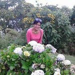 gonzslezlis profile picture