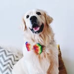 goodboytyson_ profile picture
