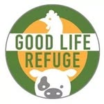 goodliferefuge profile picture