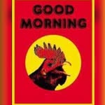 goodmorningfilms profile picture