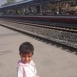 goose.546941 profile picture