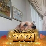 goreterocha0 profile picture