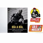 gorilasgymcartago profile picture