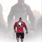 gorillas.go.gym profile picture