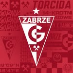gornikzabrzesa profile picture