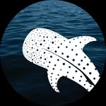 gorontalo.dive profile picture