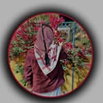 gorsi.fiyaz profile picture