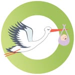 gostorky profile picture