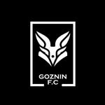 goznin profile picture