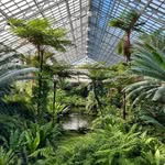 gpconservatory profile picture