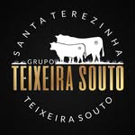 gpteixeirasouto profile picture