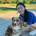 graciedingg profile picture