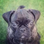 gracieplusus profile picture