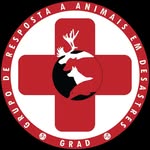 gradbrasil profile picture