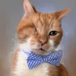 grampsthecatofficial profile picture