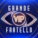 grandefratellotv profile picture