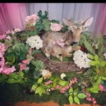 grandndapper profile picture