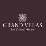 grandvelascabos profile picture