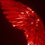 graysondylann profile picture
