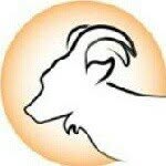 grazinggoatpictures profile picture