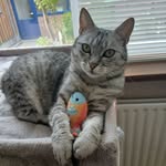 grecyandnancy profile picture