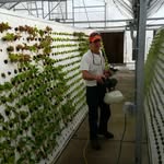 greenerlv profile picture