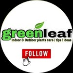 green_leaf__nursery profile picture