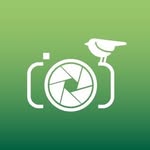 greenstoriespitch profile picture