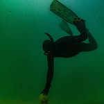 greenstraight_scallops profile picture