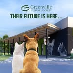 greenvillehumane profile picture