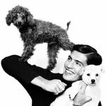 greggsulkin