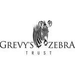 grevyszebratrust profile picture