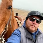 greycloudism profile picture