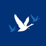 greygoose profile picture