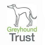 greyhoundtrust_uk profile picture