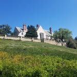 greystonebh profile picture