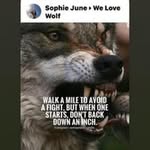 grey_wolf_lepage_ profile picture