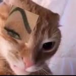 grimhunnie profile picture