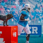 grind.jojo profile picture
