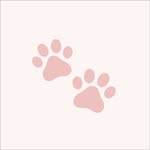 groomedbychloe_ profile picture